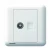 TV+RJ45 Internet/Data Cat6 Socket, White Color, Siemens (Delta Seata)